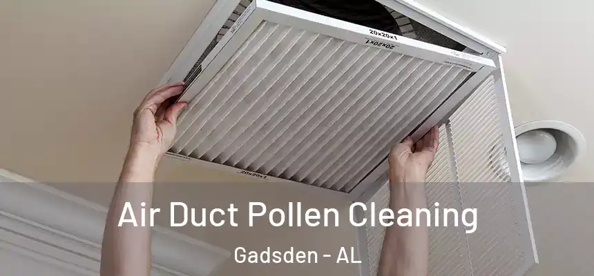  Air Duct Pollen Cleaning Gadsden - AL