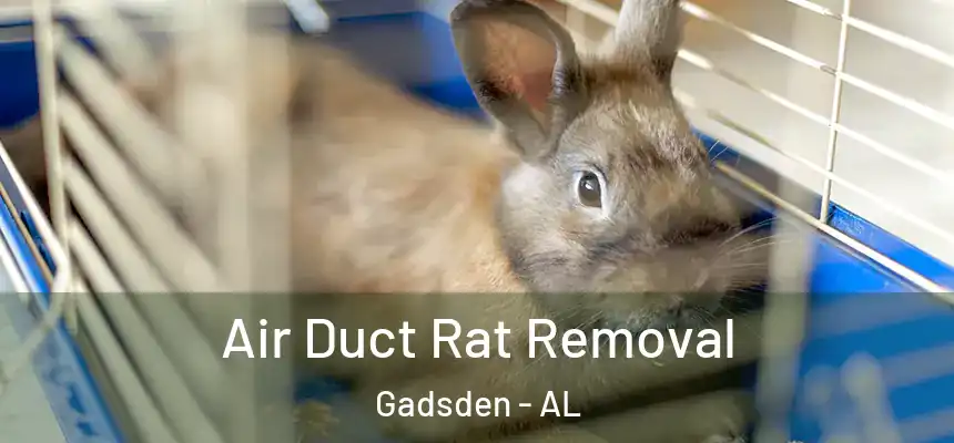  Air Duct Rat Removal Gadsden - AL