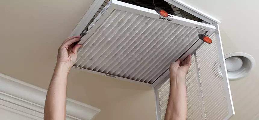 Preventive Cockroach-Proofing for Ducts in Gadsden