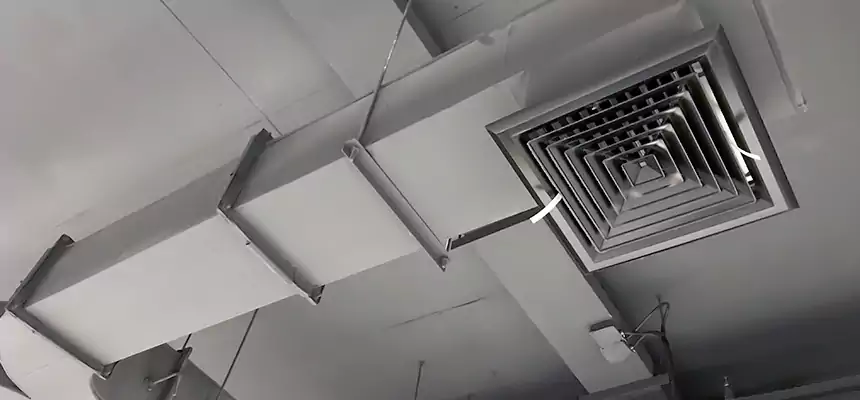 Restorative Allergy Relief Vent Cleaning – Coil, Blower & Housing Detail in Gadsden