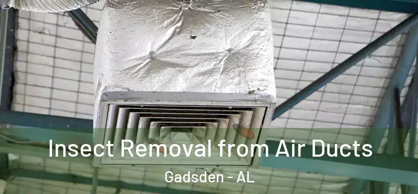  Insect Removal from Air Ducts Gadsden - AL