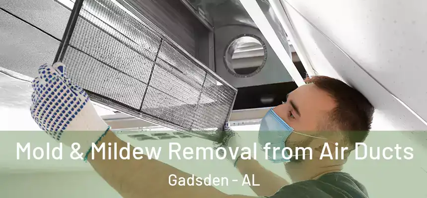  Mold & Mildew Removal from Air Ducts Gadsden - AL