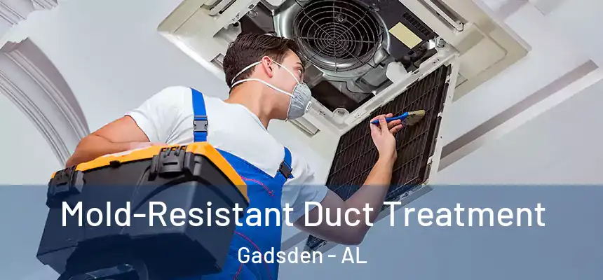  Mold-Resistant Duct Treatment Gadsden - AL