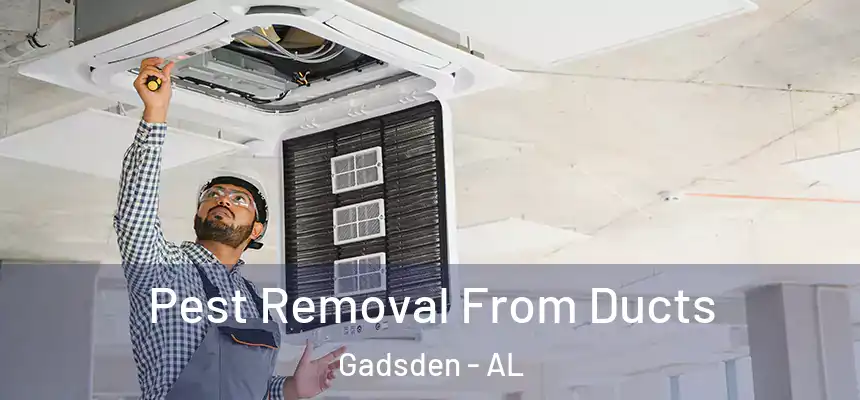  Pest Removal From Ducts Gadsden - AL