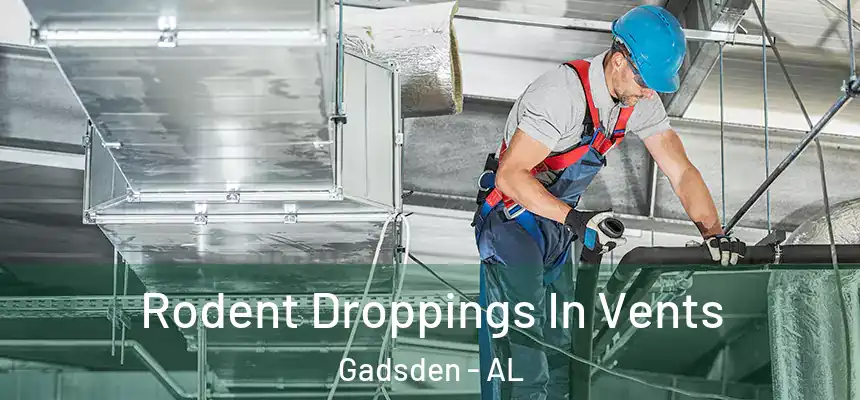  Rodent Droppings In Vents Gadsden - AL