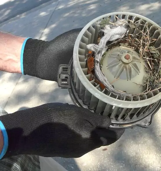 About Air Duct Mice Removal in Gadsden, AL