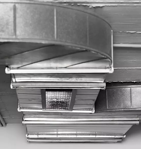 Professional Air Duct Pest Removal in Gadsden, AL