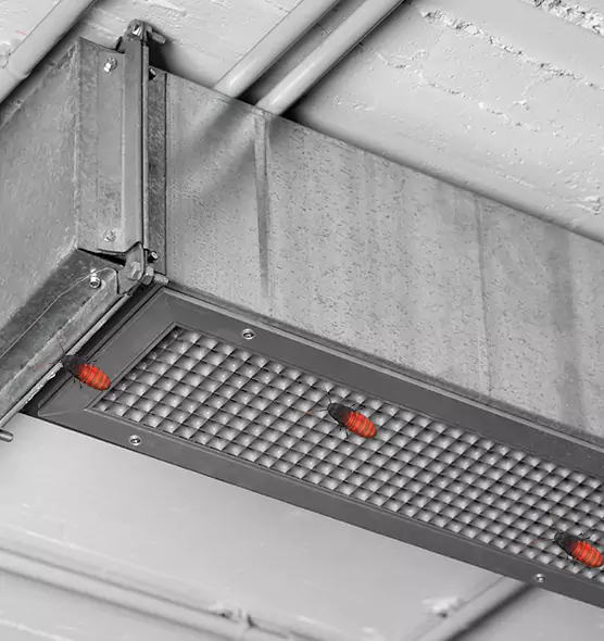 Affordable Insect Removal from Air Ducts in Gadsden, AL