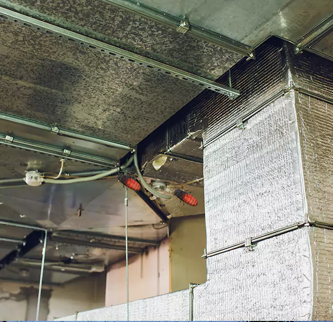 Why Homeowners & Businesses Trust Us in Gadsden, AL?