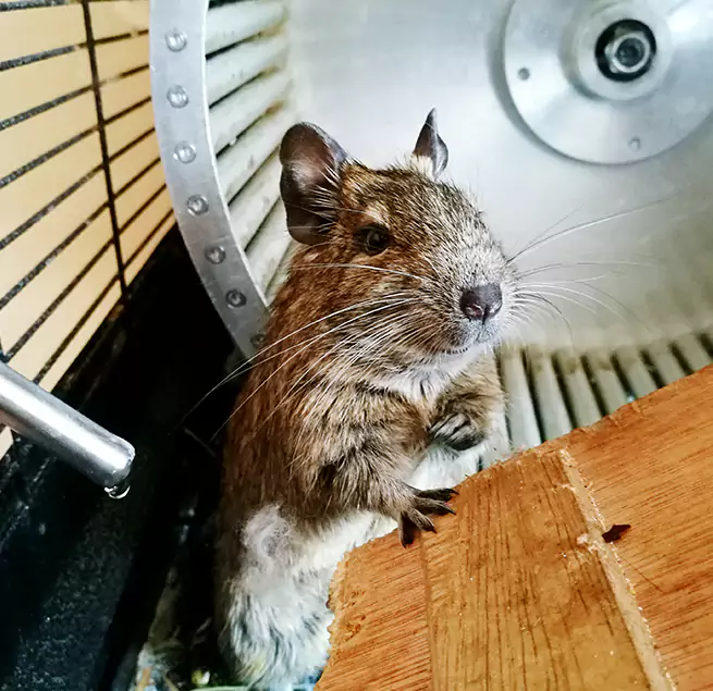 Why Homeowners & Businesses Trust Us Gadsden, AL